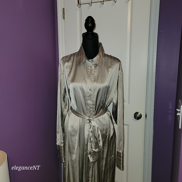 H & M Silver Striped Long Sleeve Button Down Dress Sz: L NWT - Picture 5 of 10